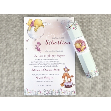 Invitatie botez Disney 15712